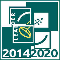 Logo Leader