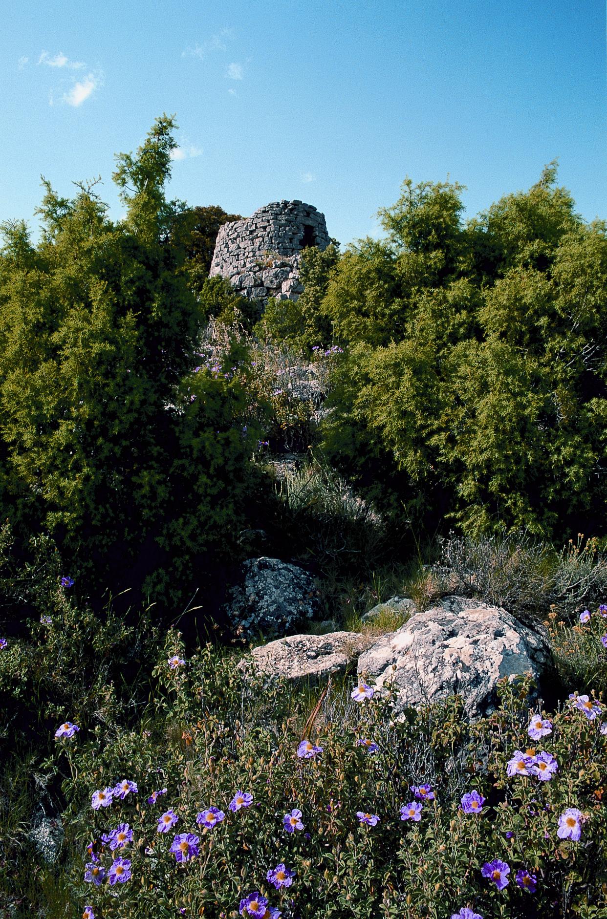 Panorama Comune di Osini
