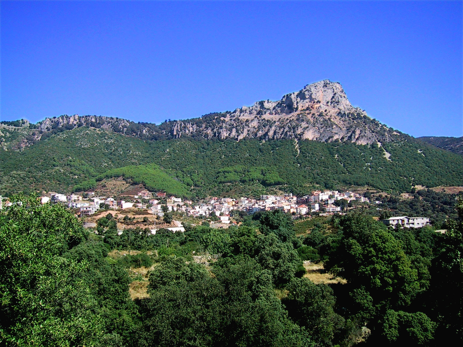 Panorama del Comune di Urzulei