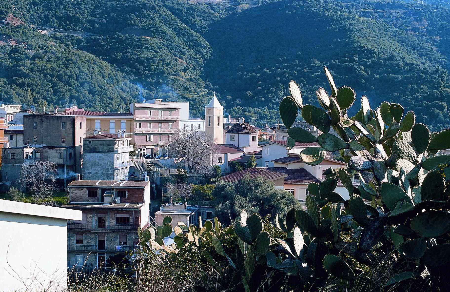 Panorama del Comune di Triei